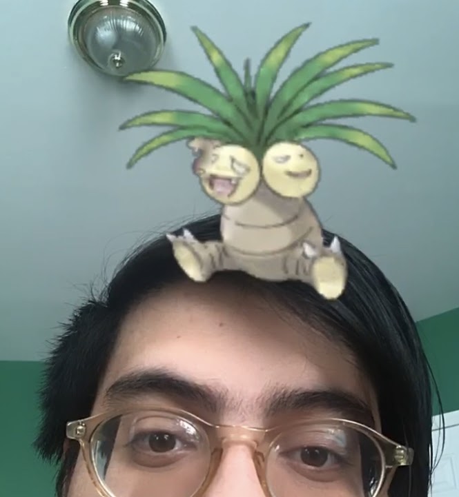 Foto de la mitad superior de la cabeza de un hombre con el pelo negro y los ojos marrones. Una imagen del Pokémon Exeggutor se sienta en su cabeza.
